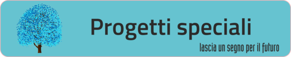 Immagine decorativa per il contenuto Avviso pubblico per ricerca sponsor Progetto Trasporto Sociale